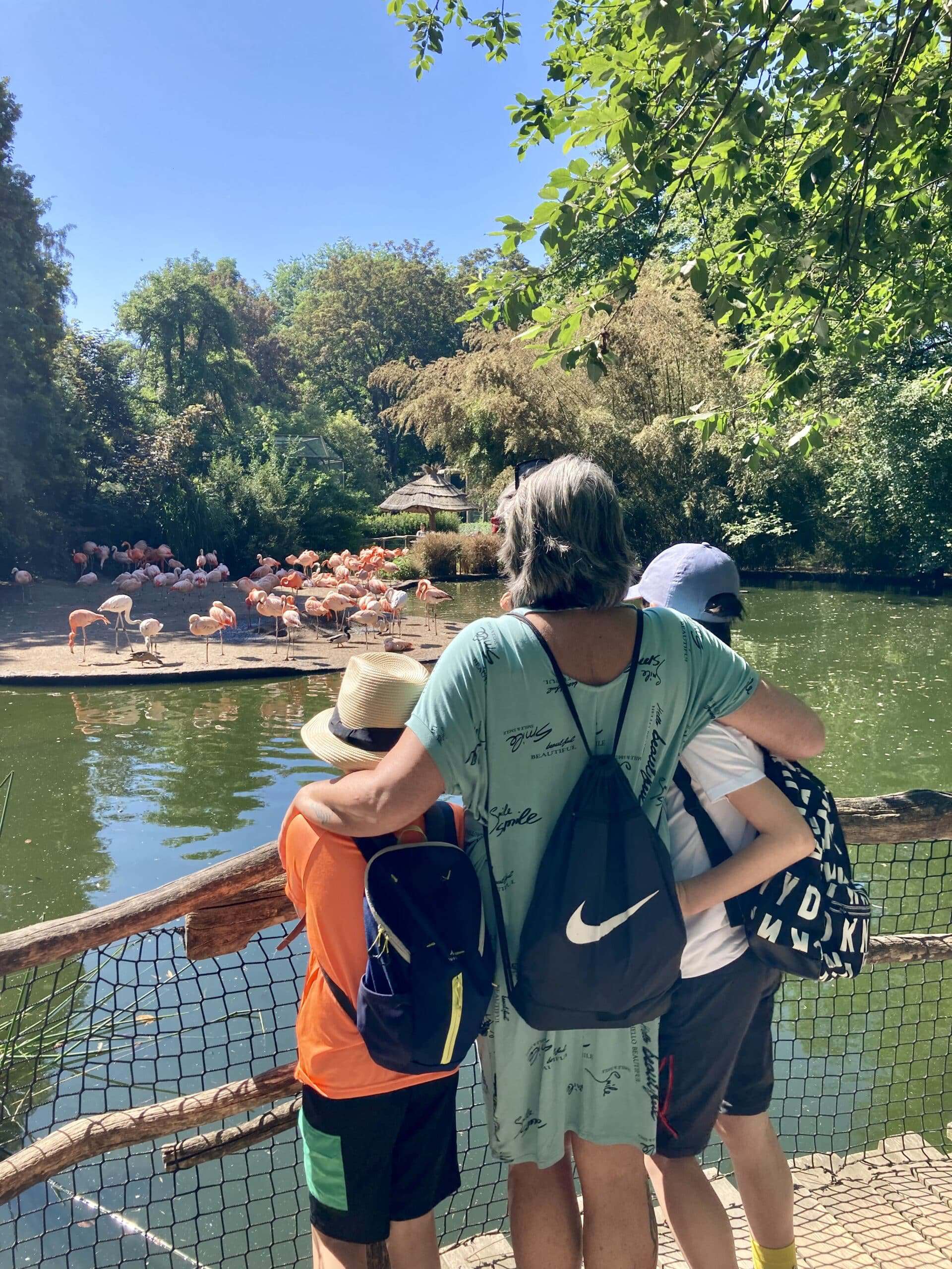 ZOO