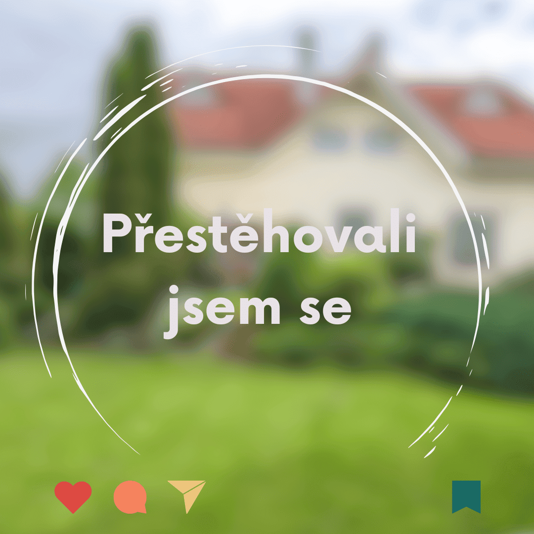 Infografika kruhová.